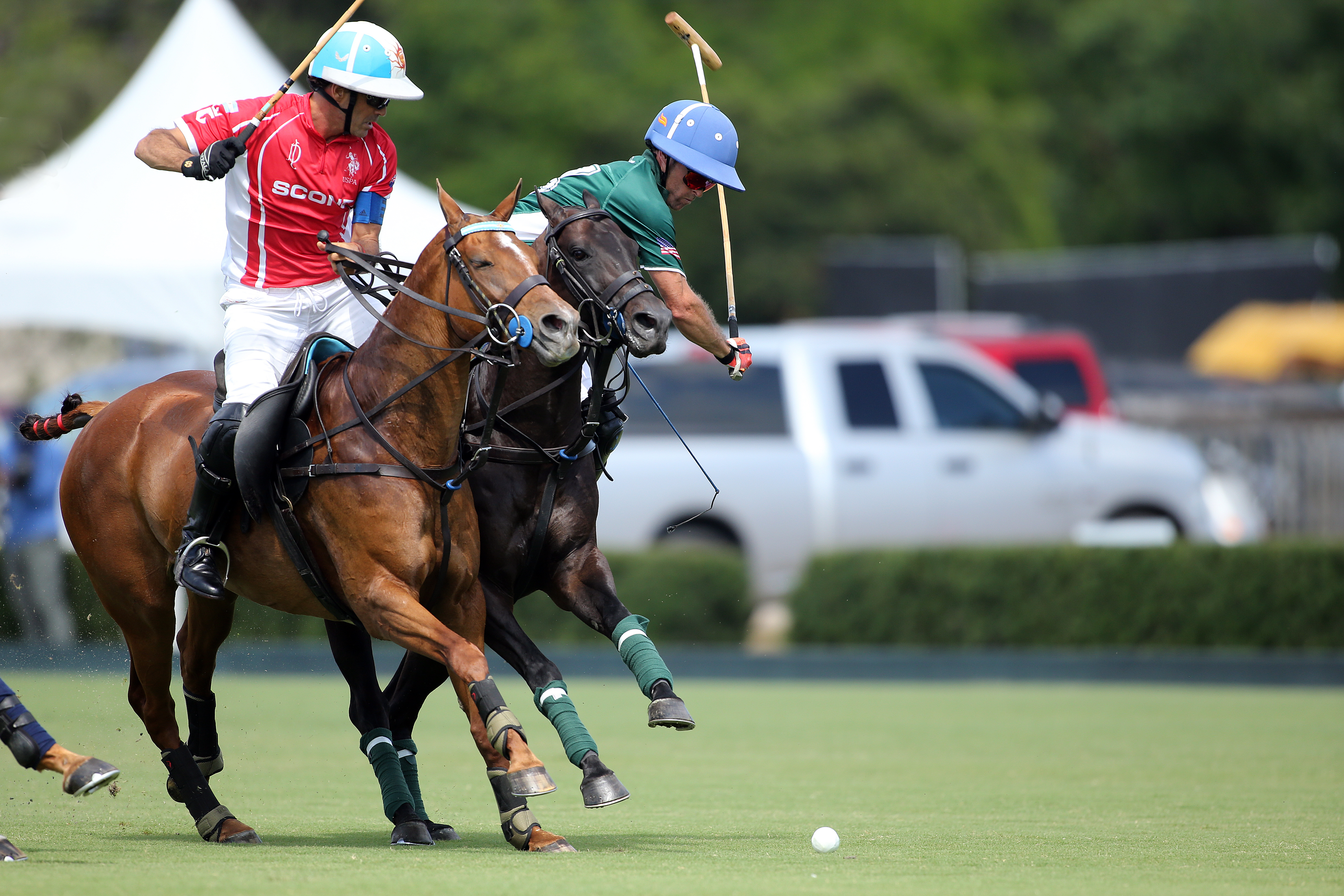 Scone Wins USPA Gold Cup