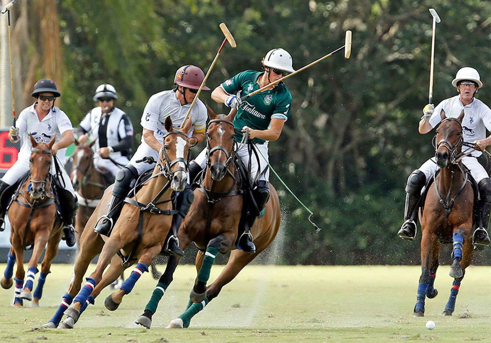 Tonkawa and La Indiana Return to Winning Ways in USPA Gold Cup Debuts